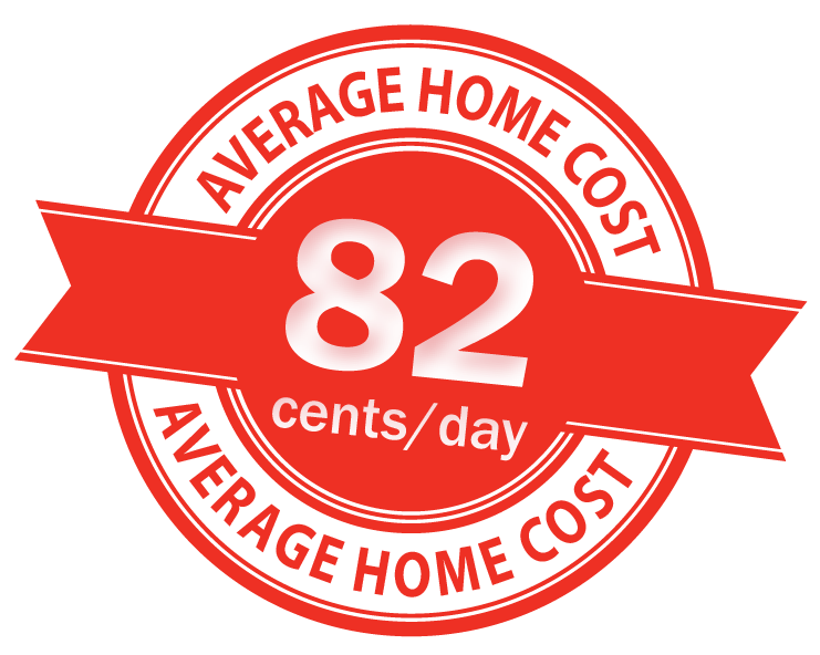 Average home cost: 82 cents per day
